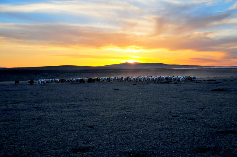 Mongolia